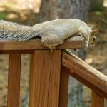 Strategi Pembelajaran Menyenangkan untuk Sekolah Dasar di Solok