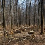 Memahami Metodologi Monitoring Evaluasi Pendidikan di Solok